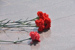 В зоне спецоперации погибли восемь жителей региона, пять из них — из Саратова