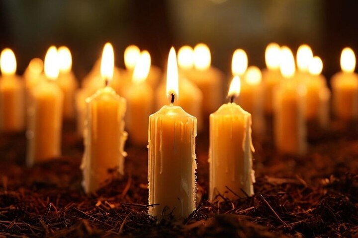 Восемь жителей региона погибли в ходе спецоперации, трое из них — из Энгельсского района