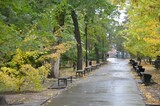В выходные в Саратовскую область придут затяжные дожди 