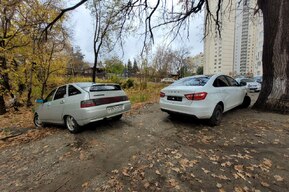 Жителей саратовского ЖК возмутили автолюбители, припарковавшиеся под столетними дубами