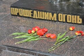 В зоне СВО погибли пять жителей области, среди них — оператор расчета БПЛА