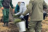 Специалисты саратовского филиала «Ситиматик» внесли вклад в восстановление лесного фонда