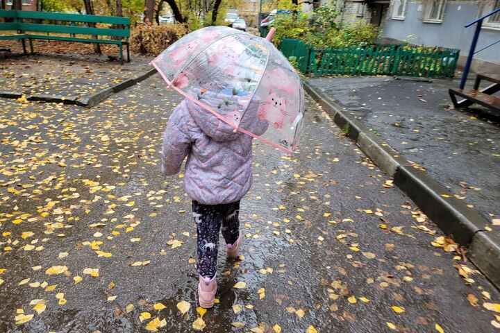 В Саратовской области ожидаются дождь и туман