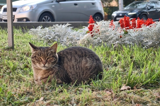 «Не будет ни людей, ни техники»: зима близко, но в мэрии Саратова не знают, как будут содержать скверы, созданные по инициативе Володина