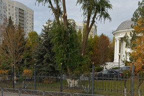 Территорию одного из медучреждений Саратова украсят фигурами почти за полмиллиона рублей