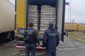 Водителя из Узбекистана будут судить за попытку дачи взятки на пункте пропуска в Озинках 