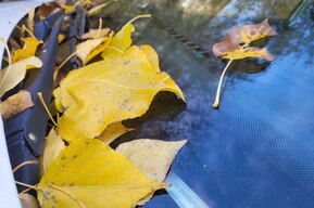 В Саратовской области может похолодать до -5 