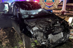 Трое молодых людей оказались в больнице после того, как «Гранта» влетела в забор в Прибрежном 