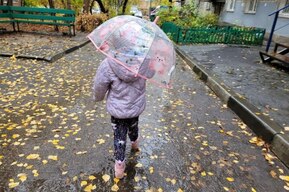 От -3 до +12 градусов, дождь и туман: жителей Саратовской области ждёт ненастный день