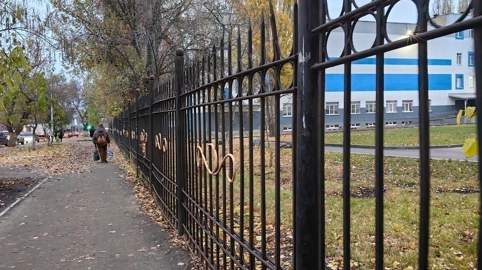 В саратовской школе красивый кованый забор меняют на «клетку для собак» за 700 тысяч рублей
