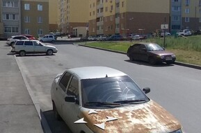 Чиновники дали месяц владельцам четырех авто в Заводском районе на их эвакуацию (потом машины могут забрать)