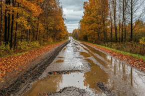 Саратовский регоператор: осенняя грязь на грунтовых дорогах препятствует доступу мусоровозов к контейнерным площадкам