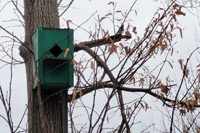 В Саратовской области может похолодать до -8, синоптики обещают снег и гололедицу