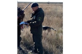 В Вольском районе агрессивный охотник-пенсионер напал инспектора