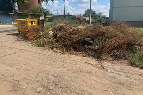 Саратовский регоператор: расходы на вывоз растительных отходов с контейнерных площадок не предъявляются населению к оплате