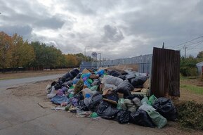 Стихийные свалки, ямы и перекладывание ответственности на жителей: в Усть-Курдюме контейнерные площадки «давятся» мусором