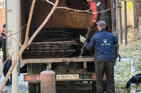 Стало известно кто и куда вывез кованый забор саратовской школы, вместо которого ставят зелёную сетку (мэрия предоставила договор, являющийся коммерческой тайной)