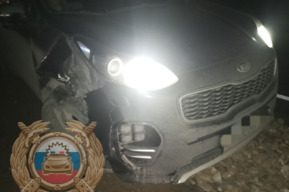 Неизвестная женщина погибла под колёсами иномарки в Новоузенском районе