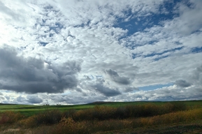 В Саратовской области будет дождливая погода без морозов