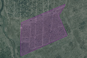 Дело об организованном чиновниками кладбище на частном сельскохозяйственном участке: судья решил не проверять подозрительного эксперта, а власти «вспомнили», что земля якобы государственная