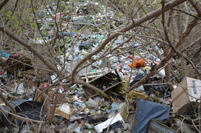 Власти нашли желающего за 15 миллионов разработать проект ликвидации самой большой свалки в области (договор уже подписывали, но не сложилось)