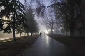 В Саратовской области временно «отменяются» ночные заморозки