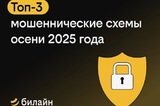 Билайн назвал три схемы телефонного мошенничества, наиболее популярные этой осенью
