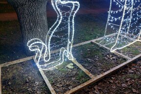 К Новому году саратовцев «порадовали» ржавыми фигурами и «лысыми» гирляндами (фото)