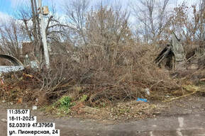 Регоператор по обращению с ТКО оценил состояние контейнерных площадок