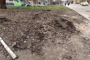 Ошметки грязи на тротуарах и «убитые» газоны: жители Шелковичной пожаловались на последствия от проведения масштабных коммунальных работ