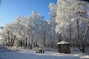 Ученые назвали точное время наступления астрономической зимы