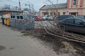 Саратовский регоператор: вопрос утилизации древесных отходов остается самым популярным у жителей области