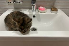 Десятки тысяч жителей двух районов на сутки останутся без холодной воды: адреса