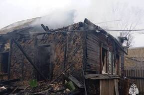 Умер мужчина, которому кот помог выбраться из горящего дома