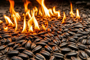 В промзоне загорелись две тонны семечек