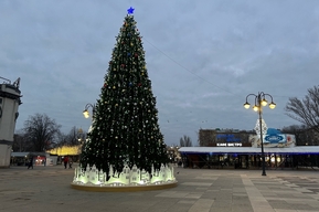 «Отсутствуют свободные участки»: жители центра Саратова остались без ёлочных базаров