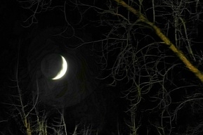 «Сколько ещё люди будут ходить по темноте?»: Владимиру Путину намерены рассказать об отсутствии линий освещения на улицах Саратова