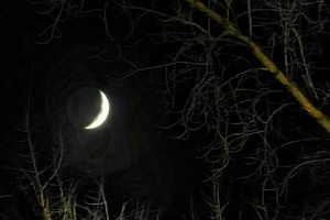 «Сколько ещё люди будут ходить по темноте?»: Владимиру Путину намерены рассказать об отсутствии линий освещения на улицах Саратова