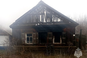 На пожаре в сельском доме погиб пенсионер