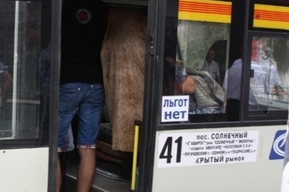 Контракт на 703 миллиона рублей: по одному из городских маршрутов начнут ходить большие автобусы