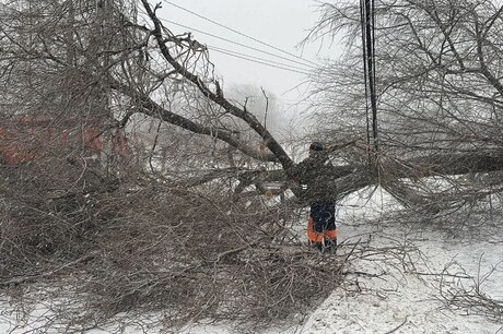 Несколько саратовских посёлков остались без света из-за непогоды
