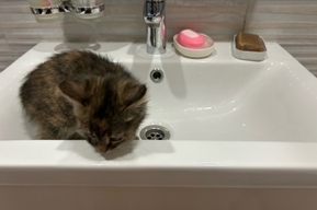 Тысячи горожан до конца суток остались без холодной воды: адреса