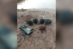 Житель Энгельсского района попался с раками: теперь ему грозит срок