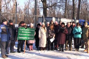 «Просим принять меры по защите природы нашего края»: жители одного из районов области обратились к президенту РФ