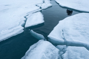 В Балаково в канале едва не утонул рыбак, вышедший на лёд