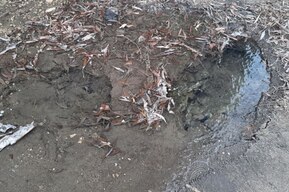 Электропровода над головами прохожих и проваливающаяся земля: чиновники отчитались о «благоустройстве» города, но жители посчитали иначе