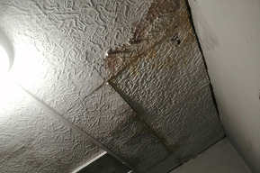 «Адрес данного безобразия — 50 лет Октября, 122»: саратовское общежитие может «рухнуть» от стекающей по стенам воды (фото)