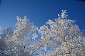 До -15 и -20 градусов: в Саратовской области ожидается резкое похолодание