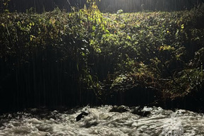 На скользком склоне, в темноте и под ливнем: в Сочи спасатели эвакуировали туристу из Саратова