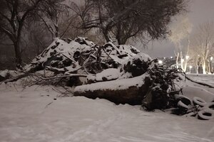 «Территория завалена кучами мусора»: жители Заводского района обратились к мэру с вопросами по поводу скандального сквера на Прессовой